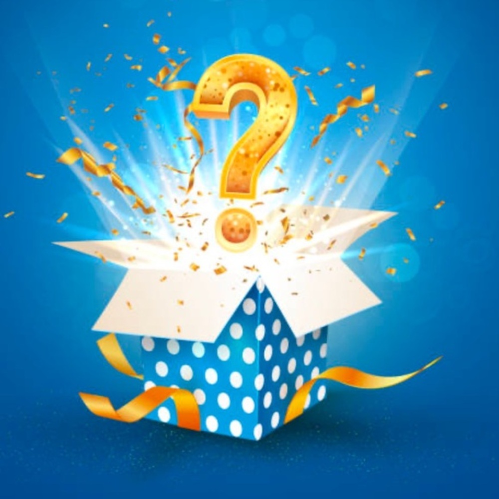 Mystery Box ladies clothes xs-small 10 pieces!